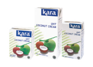 Kara coconut cream in tertra box carton